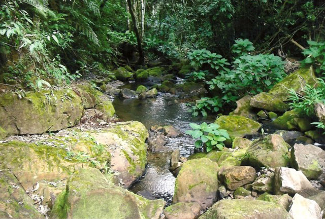 Águas de São João