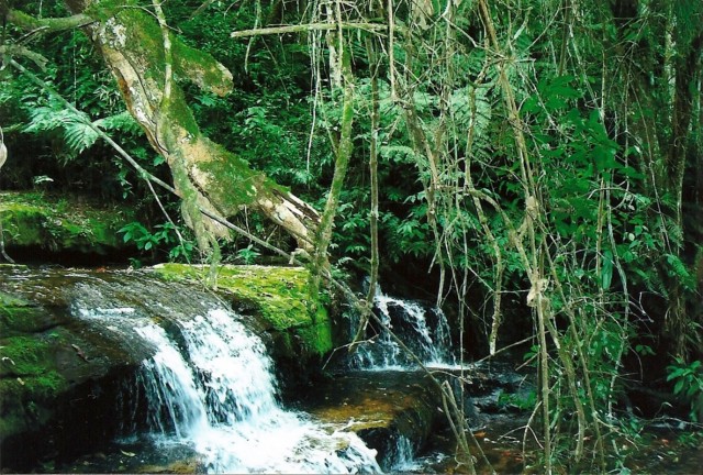Águas de São João